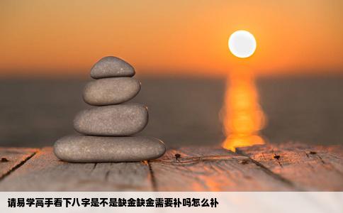 请易学高手看下八字是不是缺金缺金需要补吗怎么补