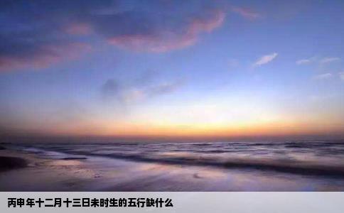 丙申年十二月十三日未时生的五行缺什么