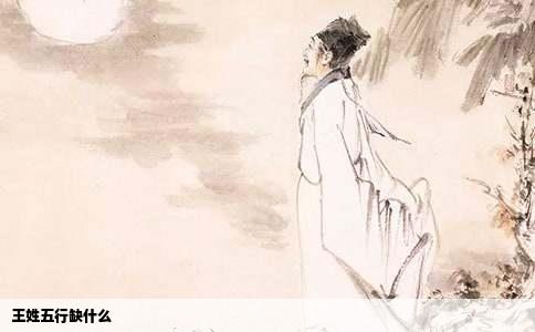 王姓五行缺什么