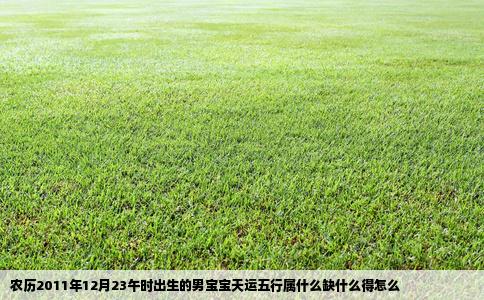 农历2011年12月23午时出生的男宝宝天运五行属什么缺什么得怎么