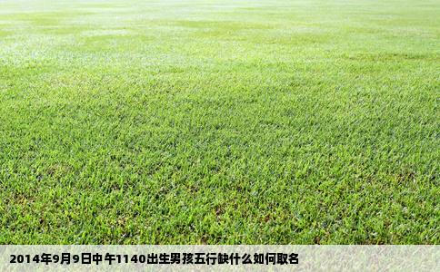 2014年9月9日中午1140出生男孩五行缺什么如何取名