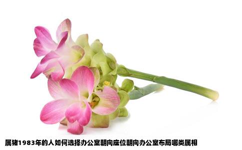 属猪1983年的人如何选择办公室朝向座位朝向办公室布局哪类属相