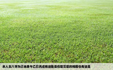 本人女八字为己未庚午乙巳丙戌有说我是伤官见官的格局也有说是
