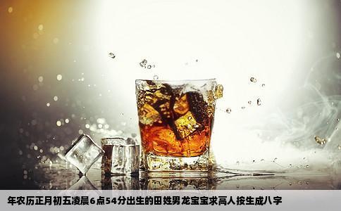 年农历正月初五凌晨6点54分出生的田姓男龙宝宝求高人按生成八字