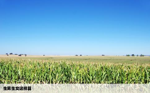 生男生女这样算