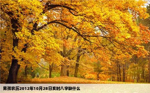 男孩农历2012年10月28日亥时八字缺什么