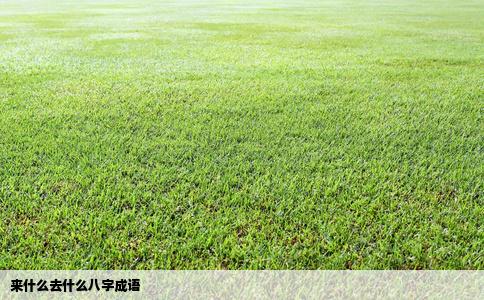 来什么去什么八字成语
