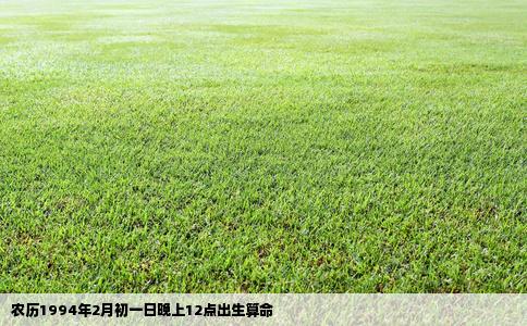 农历1994年2月初一日晚上12点出生算命