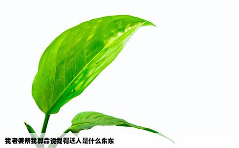 我老婆帮我算命说我得还人是什么东东