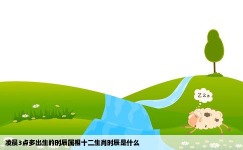 凌晨3点多出生的时辰属相十二生肖时辰是什么