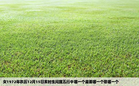 女1972年农历12月15日亥时生问属五行中哪一个需要哪一个忌哪一个