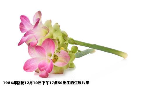 1986年阴历12月10日下午17点50出生的生辰八字