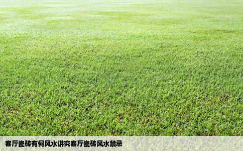 客厅瓷砖有何风水讲究客厅瓷砖风水禁忌