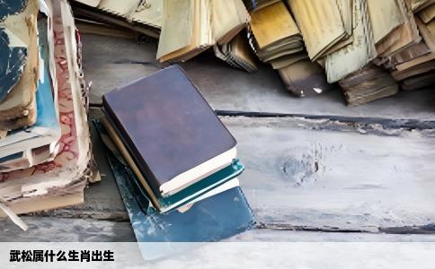 武松属什么生肖出生
