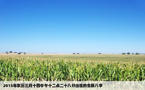 2015年农历三月十四中午十二点二十八分出生的生辰八字