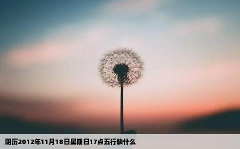 阴历2012年11月18日星期日17点五行缺什么