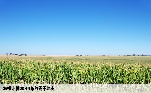 怎样计算2044年的天干地支