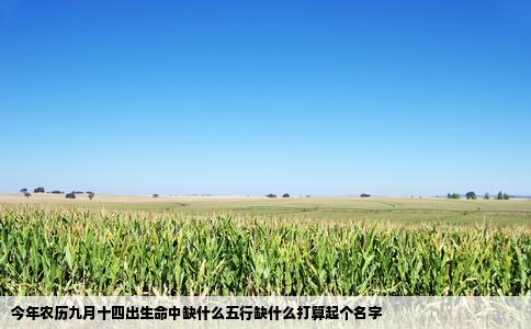 今年农历九月十四出生命中缺什么五行缺什么打算起个名字