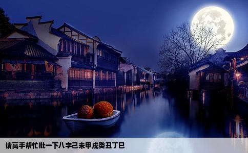 请高手帮忙批一下八字己未甲戌癸丑丁巳