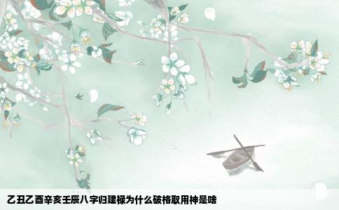 乙丑乙酉辛亥壬辰八字归建禄为什么破格取用神是啥