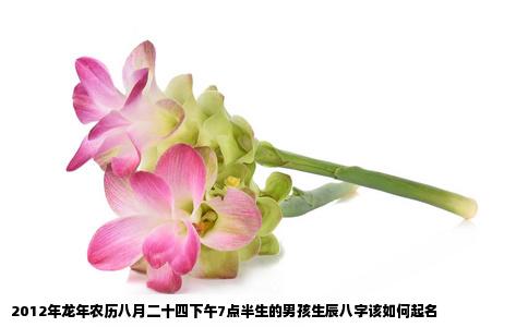 2012年龙年农历八月二十四下午7点半生的男孩生辰八字该如何起名