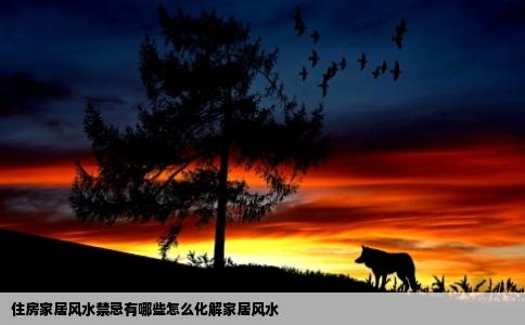 住房家居风水禁忌有哪些怎么化解家居风水