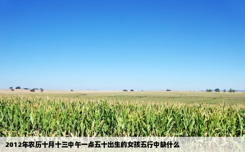 2012年农历十月十三中午一点五十出生的女孩五行中缺什么