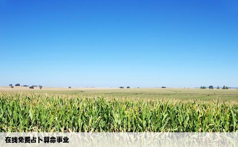 在线免费占卜算命事业