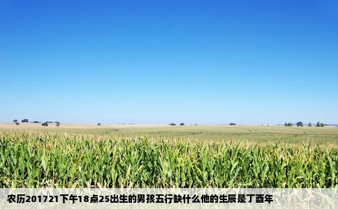 农历201721下午18点25出生的男孩五行缺什么他的生辰是丁酉年