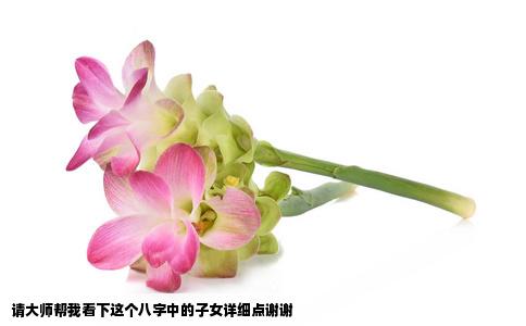 请大师帮我看下这个八字中的子女详细点谢谢