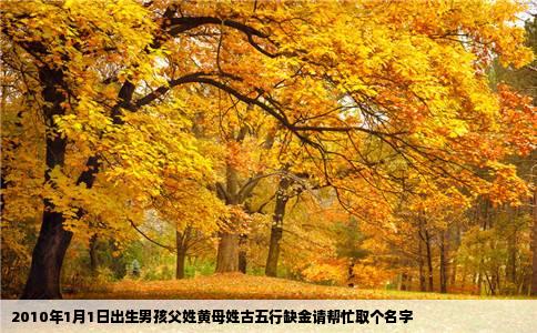 2010年1月1日出生男孩父姓黄母姓古五行缺金请帮忙取个名字