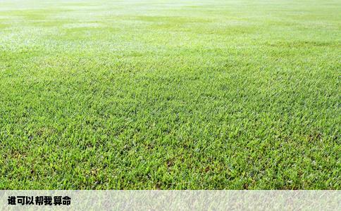 谁可以帮我算命