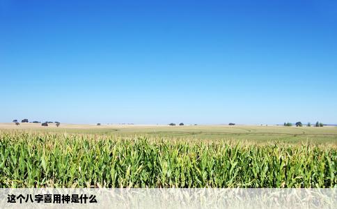 这个八字喜用神是什么