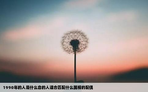 1990年的人是什么命的人适合匹配什么属相的配偶