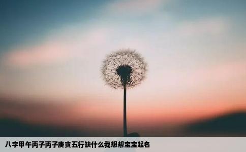 八字甲午丙子丙子庚寅五行缺什么我想帮宝宝起名