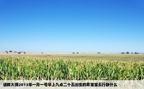 请教大师2013年一月一号早上九点二十五出生的男宝宝五行缺什么