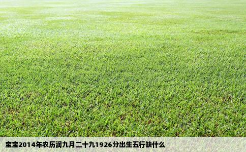 宝宝2014年农历润九月二十九1926分出生五行缺什么