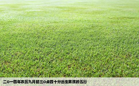 二O一四年农历九月初三O点四十分出生男孩的五行