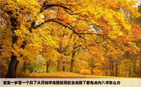 宝宝一岁零一个月了从开始学走路到现在会走路了都有点内八字怎么办