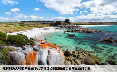 戌时那为大师能帮我算下八字详细点啊四柱是丁卯年己酉月丁酉