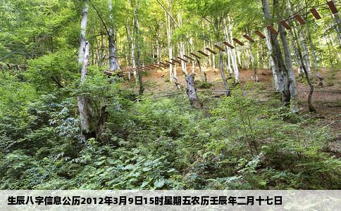 生辰八字信息公历2012年3月9日15时星期五农历壬辰年二月十七日