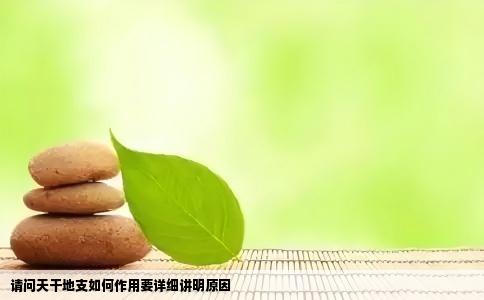 请问天干地支如何作用要详细讲明原因