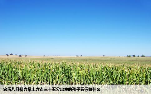 农历八月初六早上六点三十五分出生的孩子五行缺什么