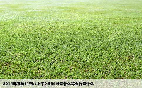 2014年农历11初八上午9点36分是什么命五行缺什么