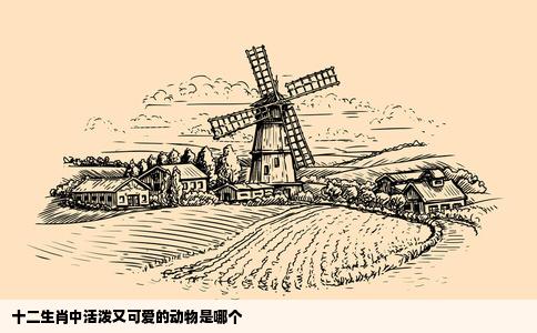 十二生肖中活泼又可爱的动物是哪个