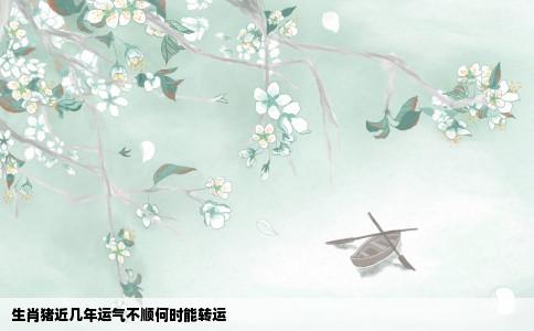 生肖猪近几年运气不顺何时能转运