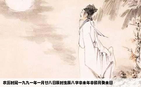 农历时间一九九一年一月廿八日辰时生辰八字辛未年辛卯月癸未日