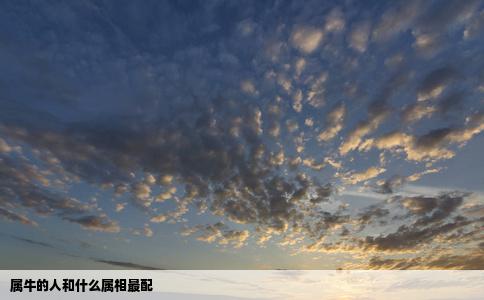 属牛的人和什么属相最配