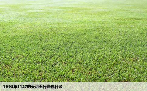 1993年1127的天运五行是属什么