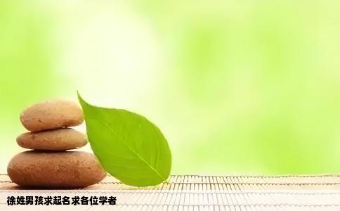 徐姓男孩求起名求各位学者